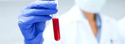 פורפירינים (Porphyrins) - תמונה